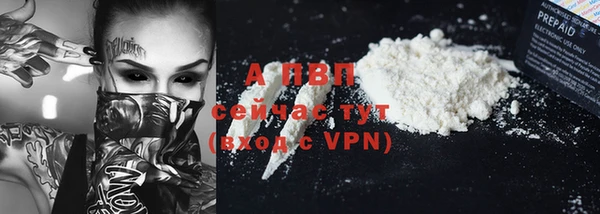шишки Магас