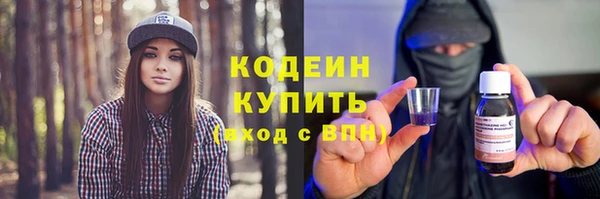 шишки Магас