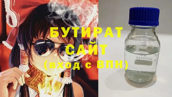 шишки Магас