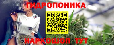 бошки Гатчина