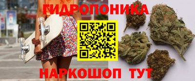 бошки Гатчина