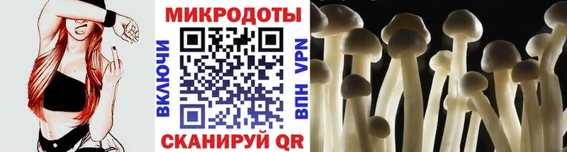 Псилоцибиновые грибы GOLDEN TEACHER  Йошкар-Ола 